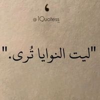 amin_jallali
