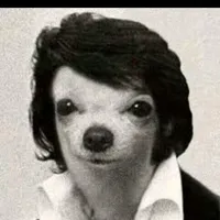 original sound - elperronzp