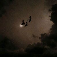 Eu nn posso mais confiar em ninguém mais