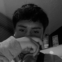 dnsrodriguez