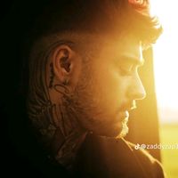 j4s_malik_payn3