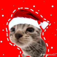 original sound - oitocincomeia