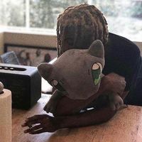 doedeer5