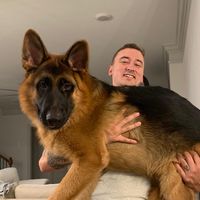 chewiethegsd