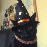 magiasdathalia