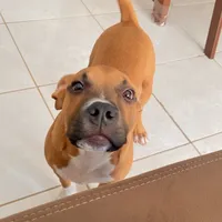 original sound - niklaus.bully