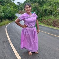 lanenita033