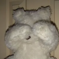 original sound - spedxup