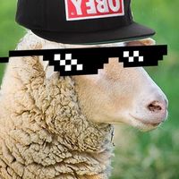 baraniok.memes