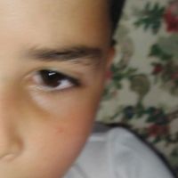 fabiane.caixeta