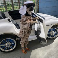 margaritahernande8763