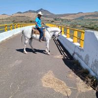 machucadavid09