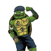 turtlesfitness_nutrition