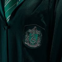 slytherin.jpeg