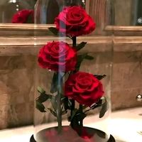 rawan.azomy