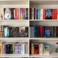sofias_books3