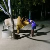 เสียงต้นฉบับ - ณัฐภูมิ อยู่ทอง