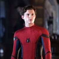 spidersenselover