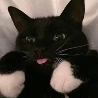 original sound - __i.d.k._._