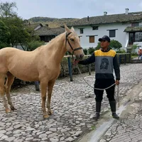 original sound - joventamba