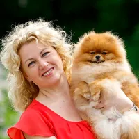 original sound - solarjoy.by