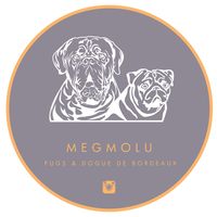 megmolu21