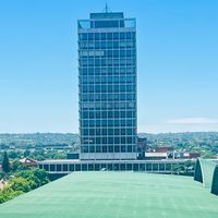 nhlanhlaslimp