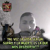 anibalmedina24