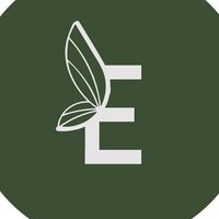 ebiva.com.br