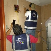 electricistalimanorte