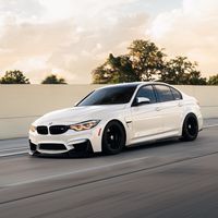 whitef80_