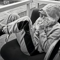 som original - matheus 😹