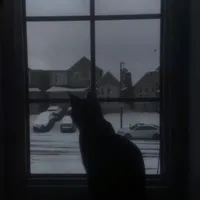 original sound - llove.yyou