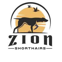 zionshorthairs