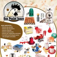 sen_poulet_innov