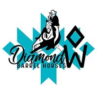 diamondwbarrelhorses