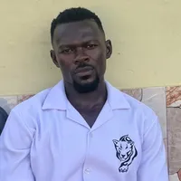 original sound - falaacars