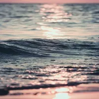 I wonder where were you