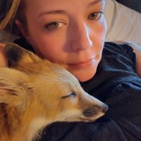 grateful_fox