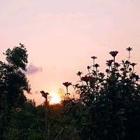 taktaujalanarahpulang