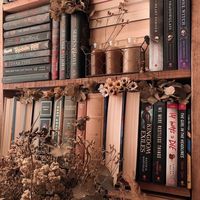 _the.books.lovers_