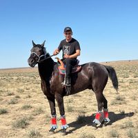 оригинальный звук