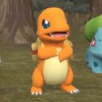 charmander173