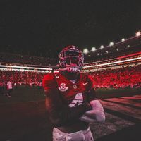 lank.szn