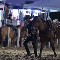 arthurcamilo011