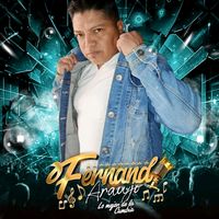 fernandoaraujolomejorc