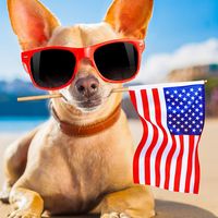 usa.viral22