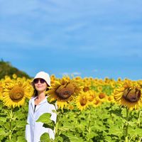 เสียงต้นฉบับ - flower.sunflower.1
