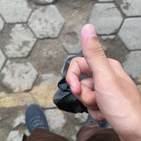 zaerrr_5