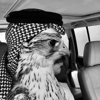 الصوت الأصلي